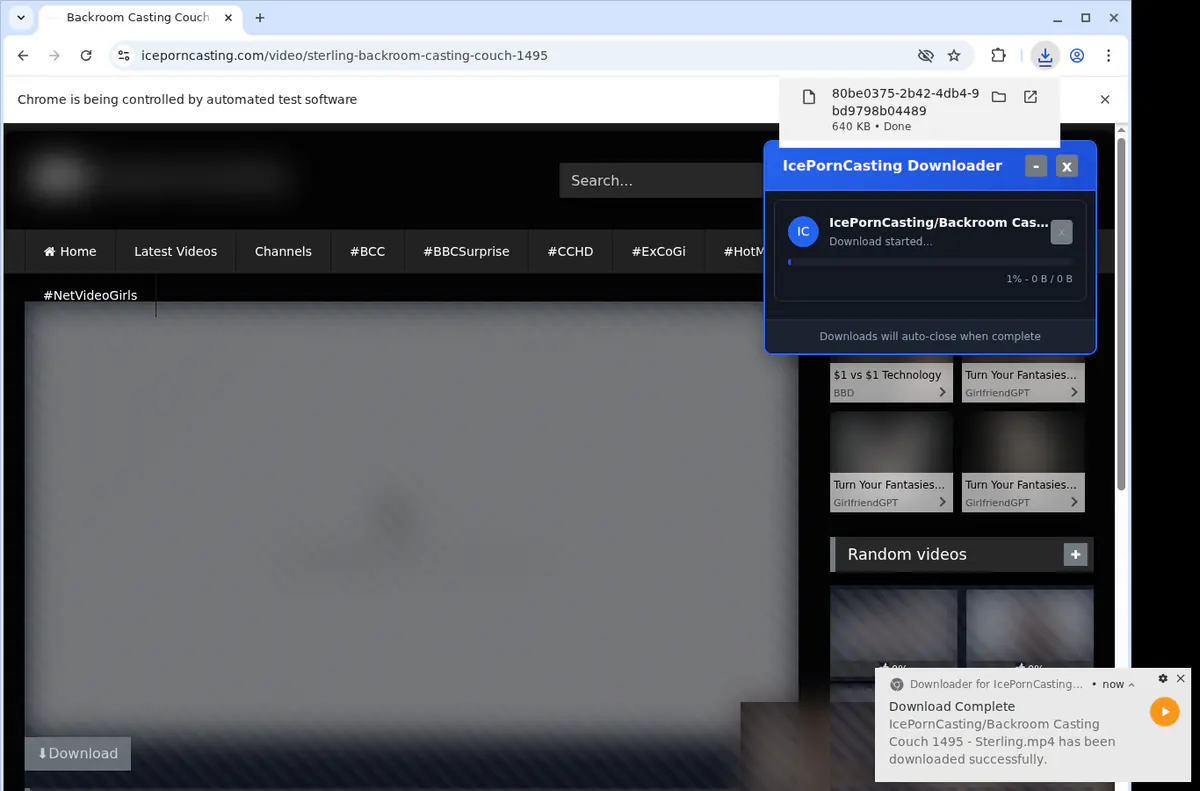 Iceporncasting Video Downloader screenshot 2