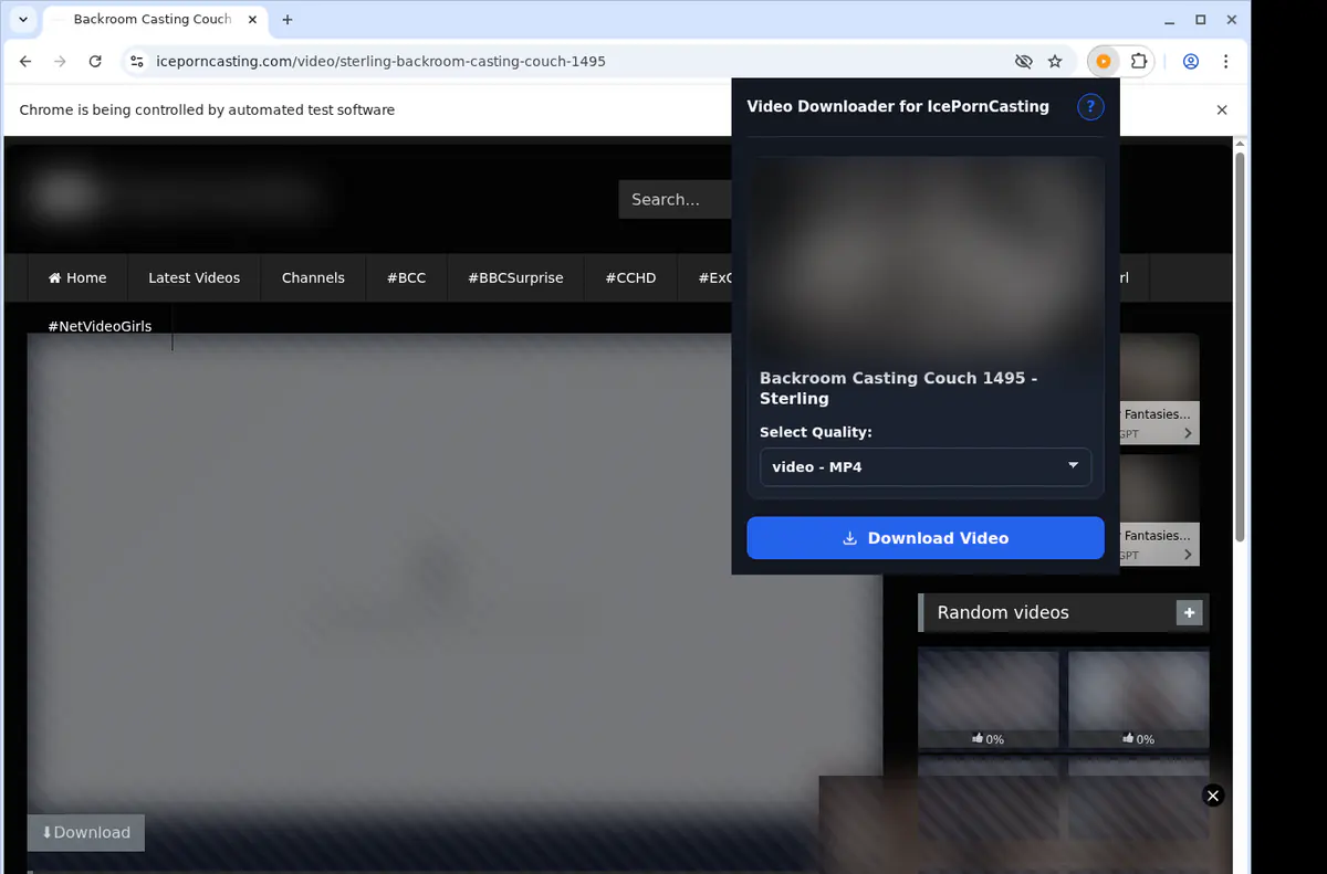 Iceporncasting Video Downloader screenshot 3